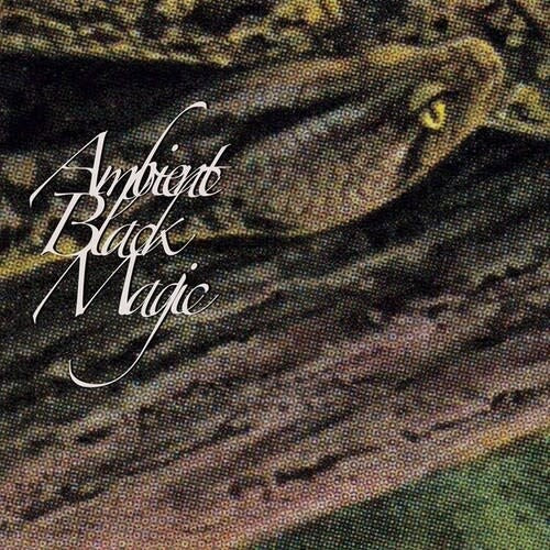 Rainforest Spiritual Enslavement レコード Rainforest Spiritual Enslavement – Ambient Black Magic Vinyl 3LP