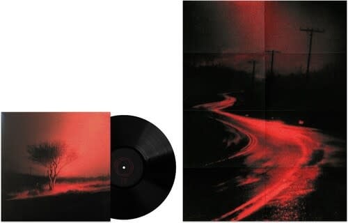 Joji – Piss in the Wind Vinyl LP | Wax Trax Records
