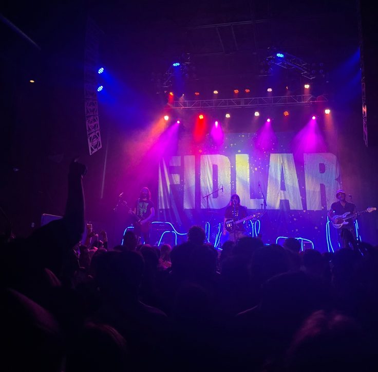 Getting punched at FIDLAR