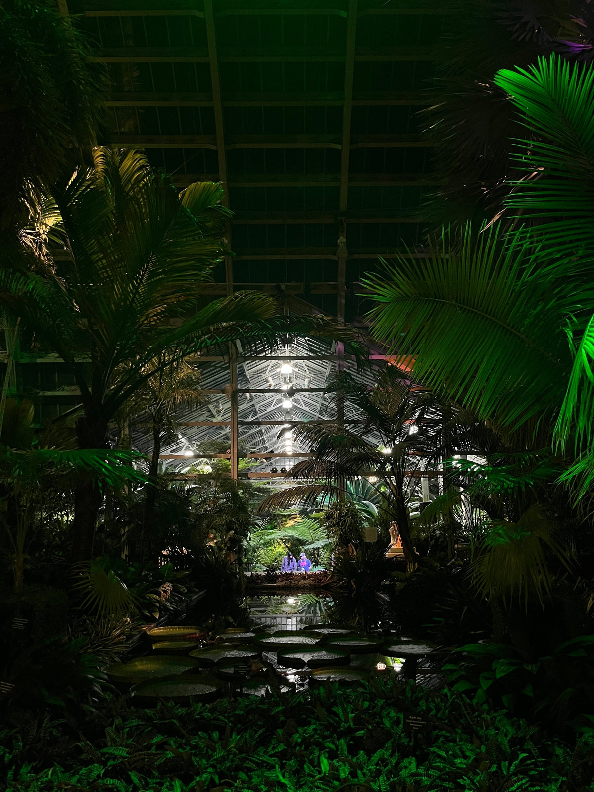 The Plantasia Festival Experience