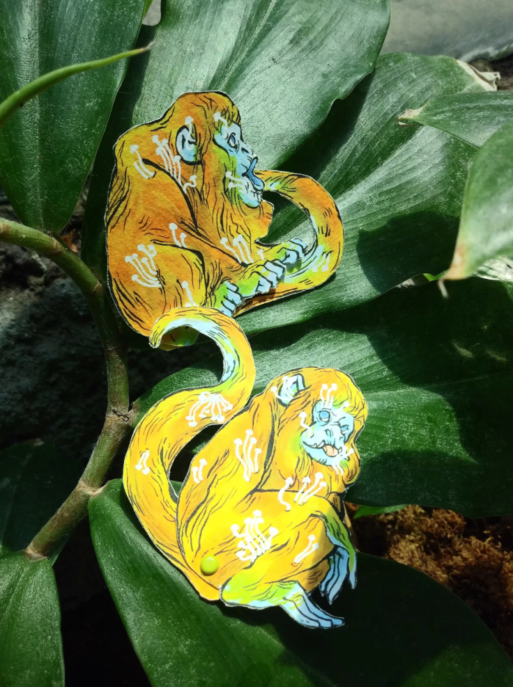 Meet Sundays on 13th Vendor: Wulf Apple