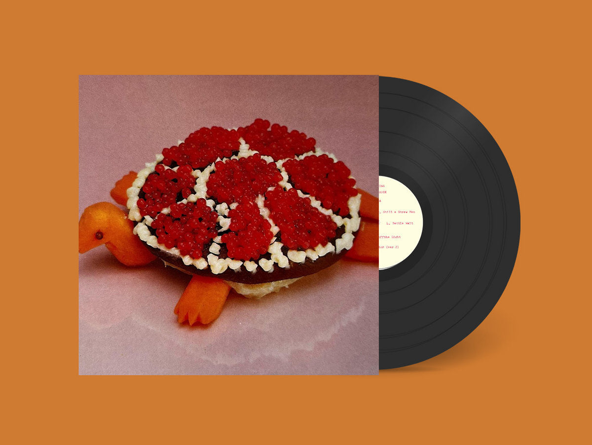 Turtle Rock LP by Sharp Pins album artwork