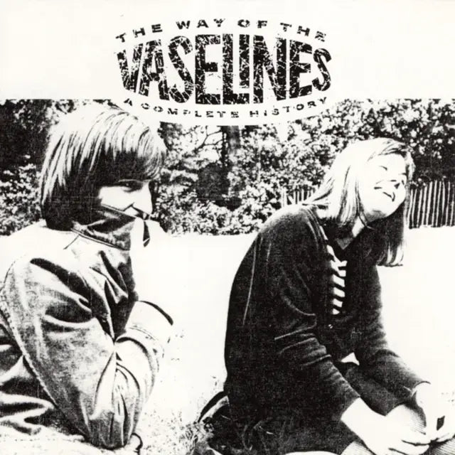 The Way of the Vaselines 2LP by The Vaselines album artwork