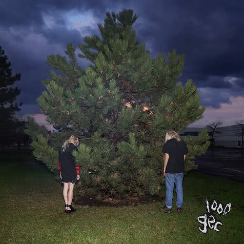 1000 Gecs LP by 100 Gecs album artwork