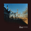Ma Fleur 2LP by The Cinematic Orchestra album artwork