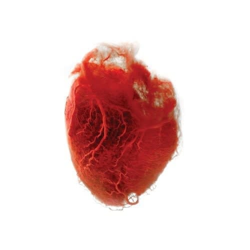 Love Is Simple 2LP by Akron / Family album artwork