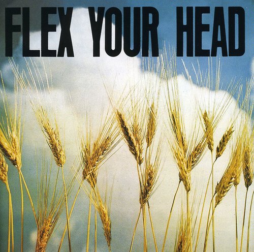 Flex Your Head CD by Various album artwork