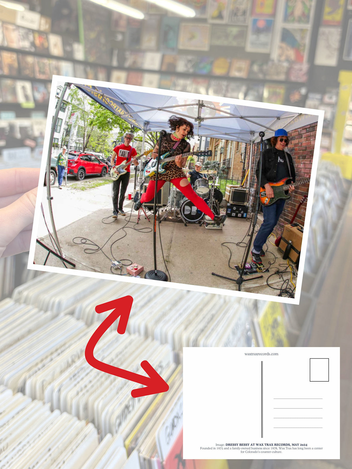 Wax Trax Postcard #15 Dressy Bessy at Capitol Hill by Wax Trax Postcard #15 Dressy Bessy at Capitol Hill album artwork