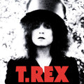 The Slider LP by T. Rex album artwork