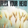 Flex Your Head LP by Various album artwork