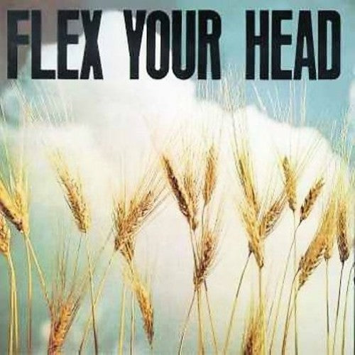 Flex Your Head LP by Various album artwork