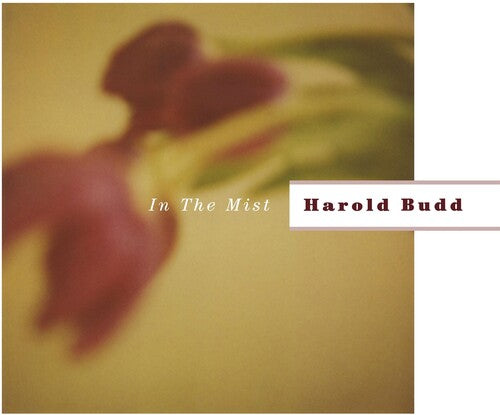 In the Mist 2LP by Harold Budd album artwork