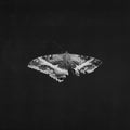 To Pimp A Butterfly 2LP by Kendrick Lamar album artwork