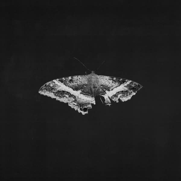 To Pimp A Butterfly 2LP by Kendrick Lamar album artwork