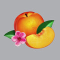 Bankrupt LP by Phoenix album artwork
