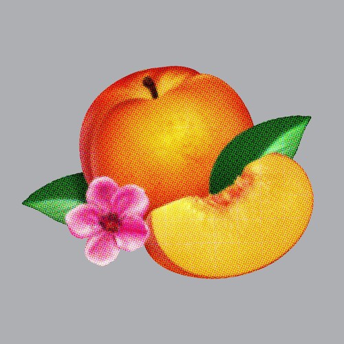 Bankrupt LP by Phoenix album artwork