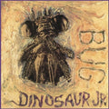 Bug LP by Dinosaur Jr. album artwork