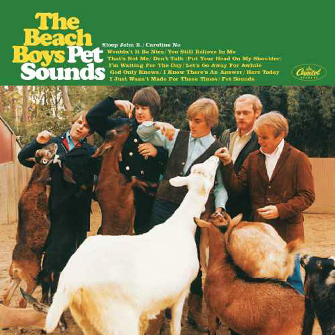 Pet Sounds LP by Beach Boys album artwork