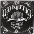 6 & 12 String Guitar LP by Leo Kotke album artwork