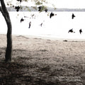 There's No Leaving Now CD by Tallest Man on Earth album artwork