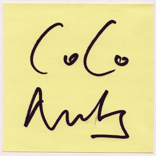 2 LP by The Coconuts album artwork