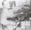 Tough Times LP by Big Joe Williams album artwork
