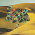 Django Django CD by Django Django album artwork