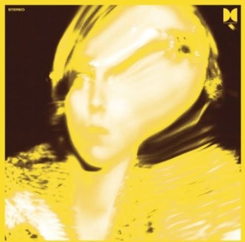 Twins LP by Ty Segall album artwork