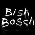 Bish Bosch 2LP by Scott Walker album artwork