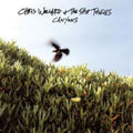 Canyons CD by Chris Wollard album artwork
