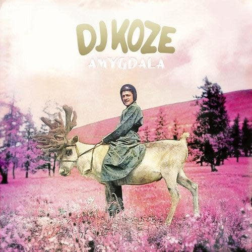 Amygdala 2LP by DJ Koze album artwork