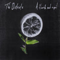 A Flourish and a Spoil LP by The Districts album artwork