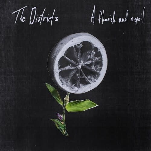 A Flourish and a Spoil LP by The Districts album artwork