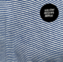 Nothing Happens LP by Wallows album artwork