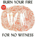 Burn Your Fire for No Witness LP by Angel Olsen album artwork