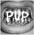 Self-Titled by Pup album artwork