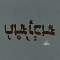 Slow Riot for New Zero Kanada CD by Godspeed You Black Emperor album artwork