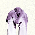 Familiars 2LP by The Antlers album artwork