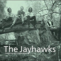 Tomorrow the Green Grass LP by The Jayhawks album artwork