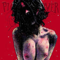 Terrifyer CD by Pig Destroyer album artwork