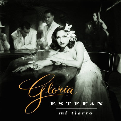 Mi Terra LP by Gloria Estefan album artwork