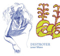 Your Blues LP by Destroyer album artwork
