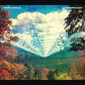 Innerspeaker 2LP by Tame Impala album artwork