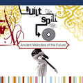 Ancient Melodies of the Future LP by Built to Spill album artwork