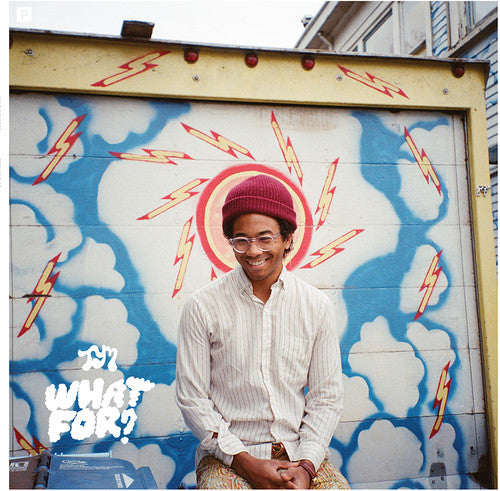 What For? CD by Toro y Moi album artwork