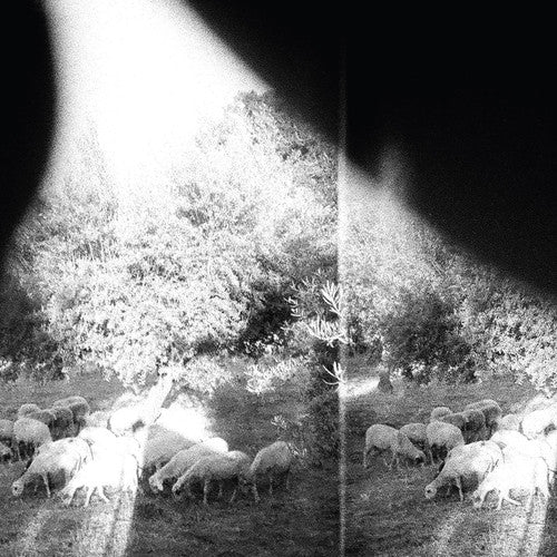Asunder, Sweet and Other Distress LP by Godspeed You! Black Emperor album artwork