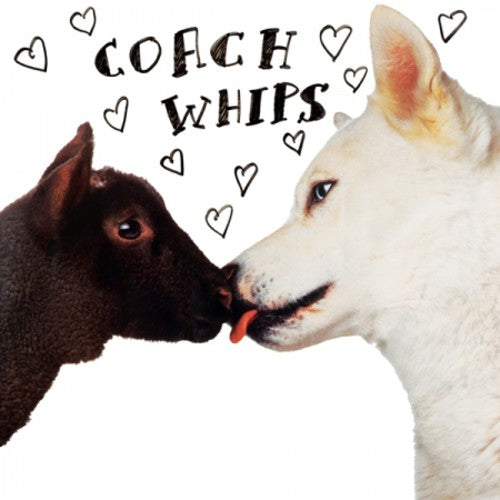 Bangers vs. Fuckers LP by Coachwhips album artwork
