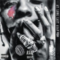 At.Long.Last.A$AP CD by A$Ap Rocky album artwork
