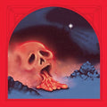 Cold Hot Plumbs LP by Damaged Bug album artwork