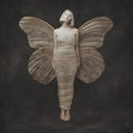 All My Demons Greeting Me as a Friend LP by Aurora album artwork